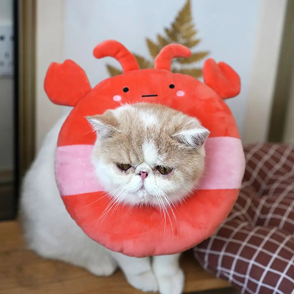 Donut Wound Healing Anti-Bite Elizabeth Circle Dog Neck Cone Cat  Collar Protection Collar Recovery  Collars Pet Supplies