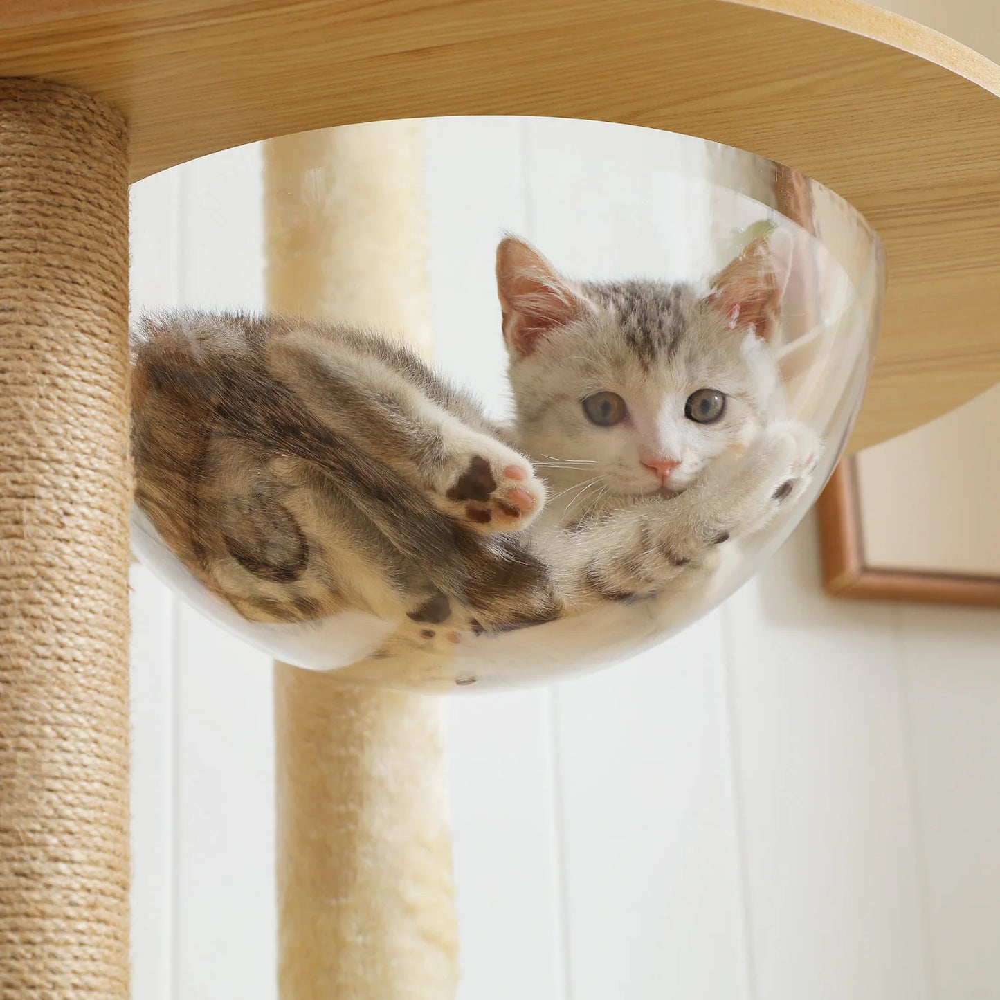 Wood Multi-Level Cat Tree for Indoor Cats
