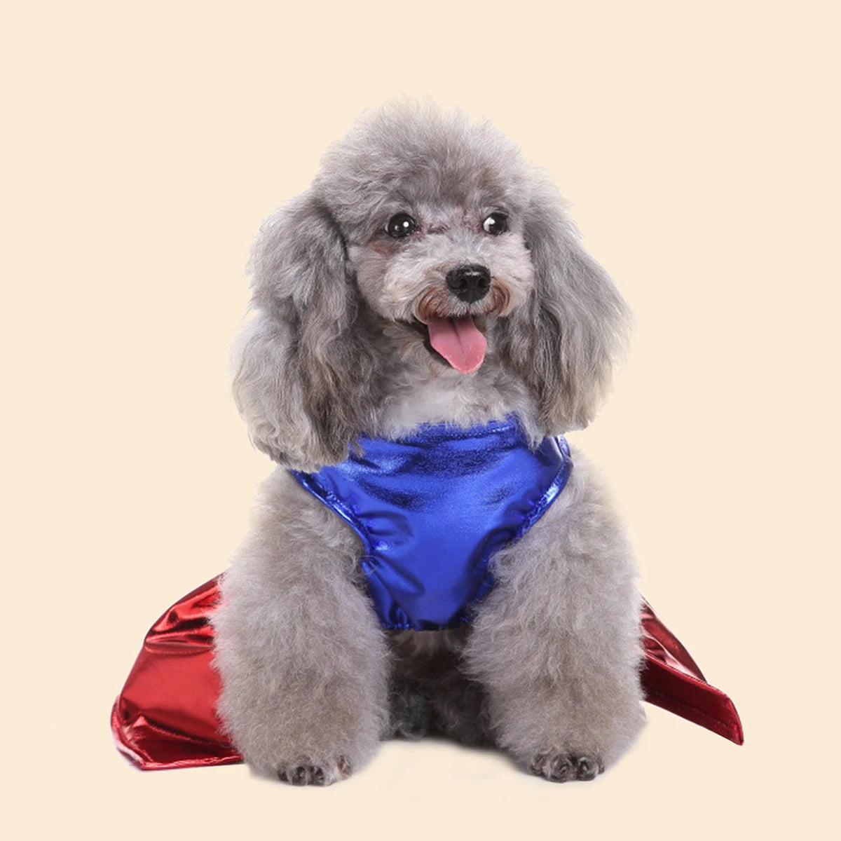 Superwoman Dog Costume – Cute Superhero Dress-Up Outfit for Small Dogs