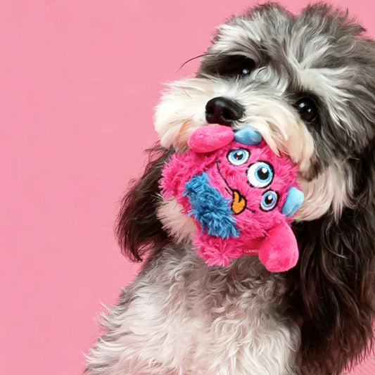 New Squeaker Dogs Balls Toy Bite Resistant Plush Toys For Small Dogs Interactive Chew Ball Toys Pets Training Accessories