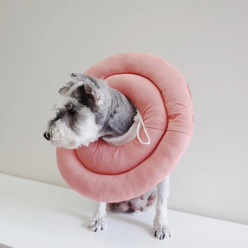Pet Cat Dog Elizabethan Collar Nylon Protective Medical Cone Cat Dog Wound Healing Anti-Licking Cat Collar Shame Circle