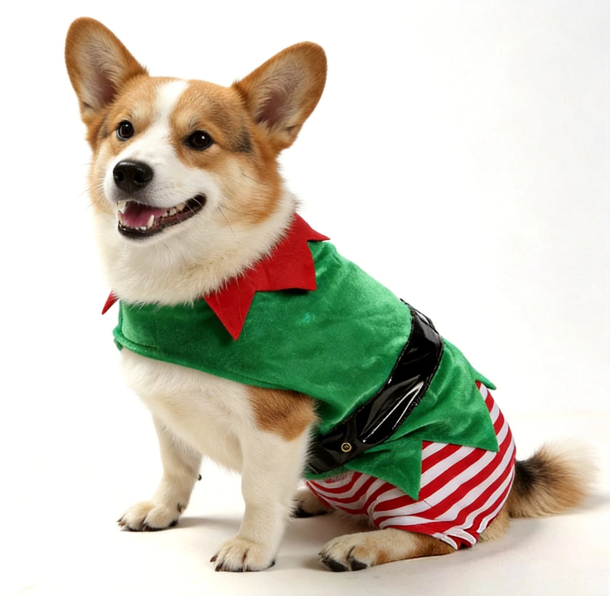 Christmas Elf Costume for Dogs & Cats – Cute Holiday Pet Dress-Up Outfit