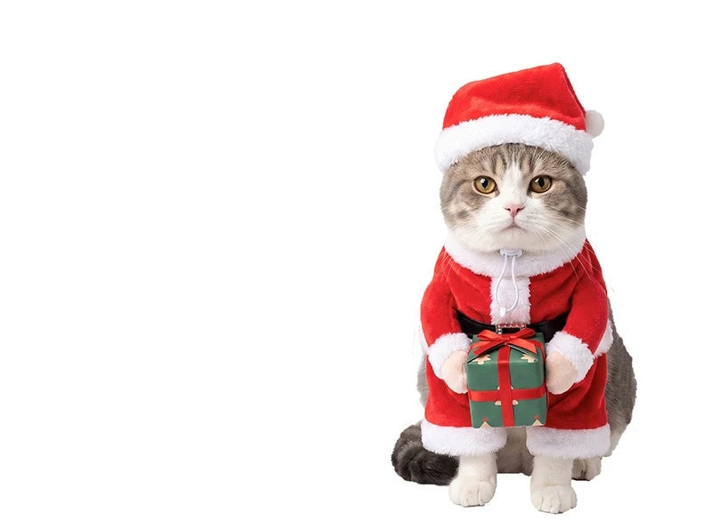 New Christmas Cat Hug Gift Box Clothing Small Dogs Fun and Funny Standing Clothes Pet Supplies