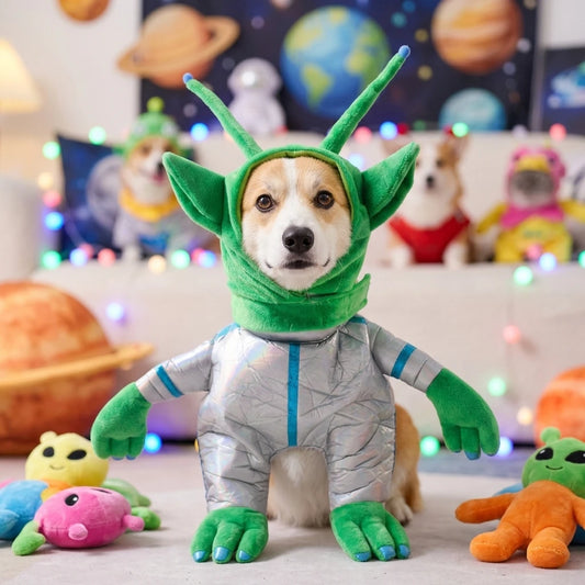 Dog wearing a cute green alien Halloween costume