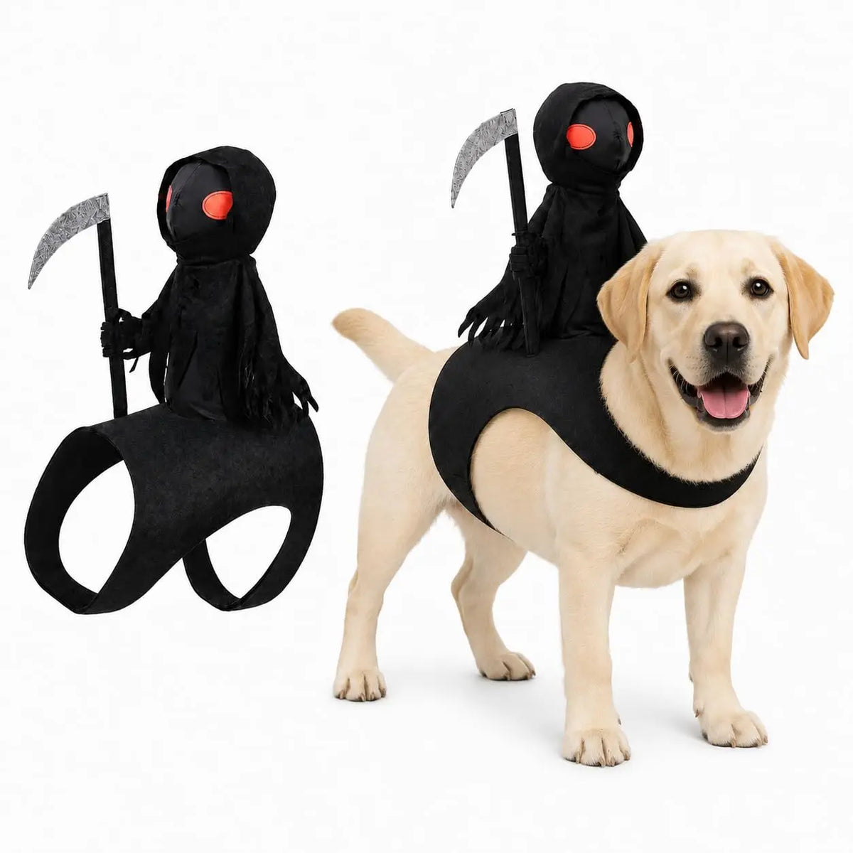 Dog wearing a medieval knight Halloween costume