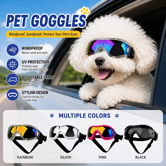 Small dog wearing adjustable UV pet goggles for outdoor adventures