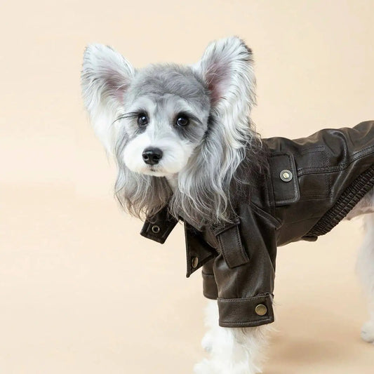 PU Leather Biker Jacket for Small Dogs – Motorcycle-Style Pet Coat