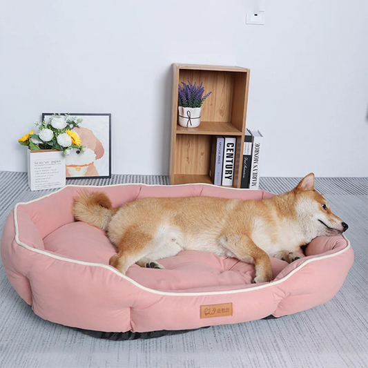 Large Pet Sofa Bed