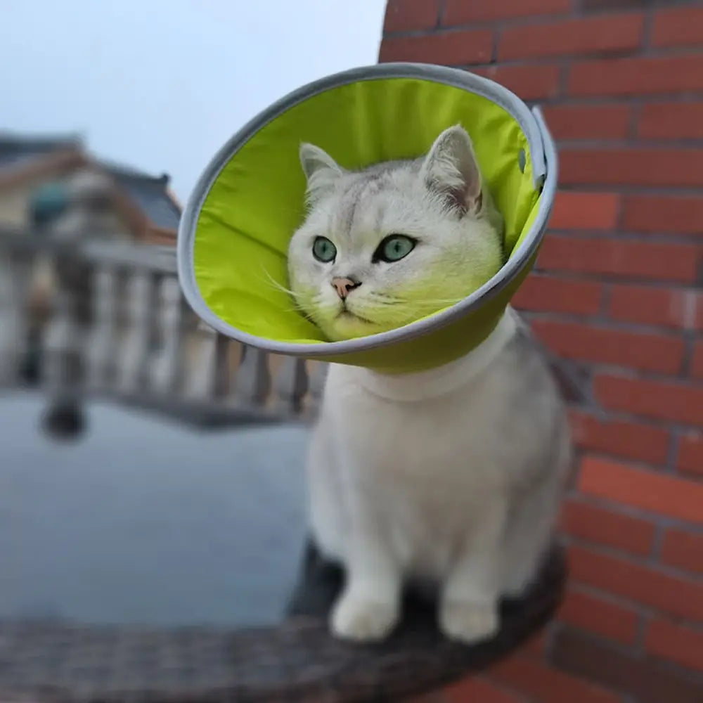 Adjustable Cat Cone Collar Lightweight Anti-bite Elizabethan Collars Easy To Eat and Drink Anti Scratch