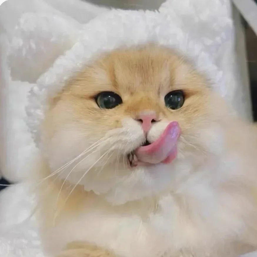 Funny Cat Cap Bear Plush Head Cover Cute Cat Dog Woven Warm Headdress Pet Hat Kitten Puppy Cosplay Costume Accessories