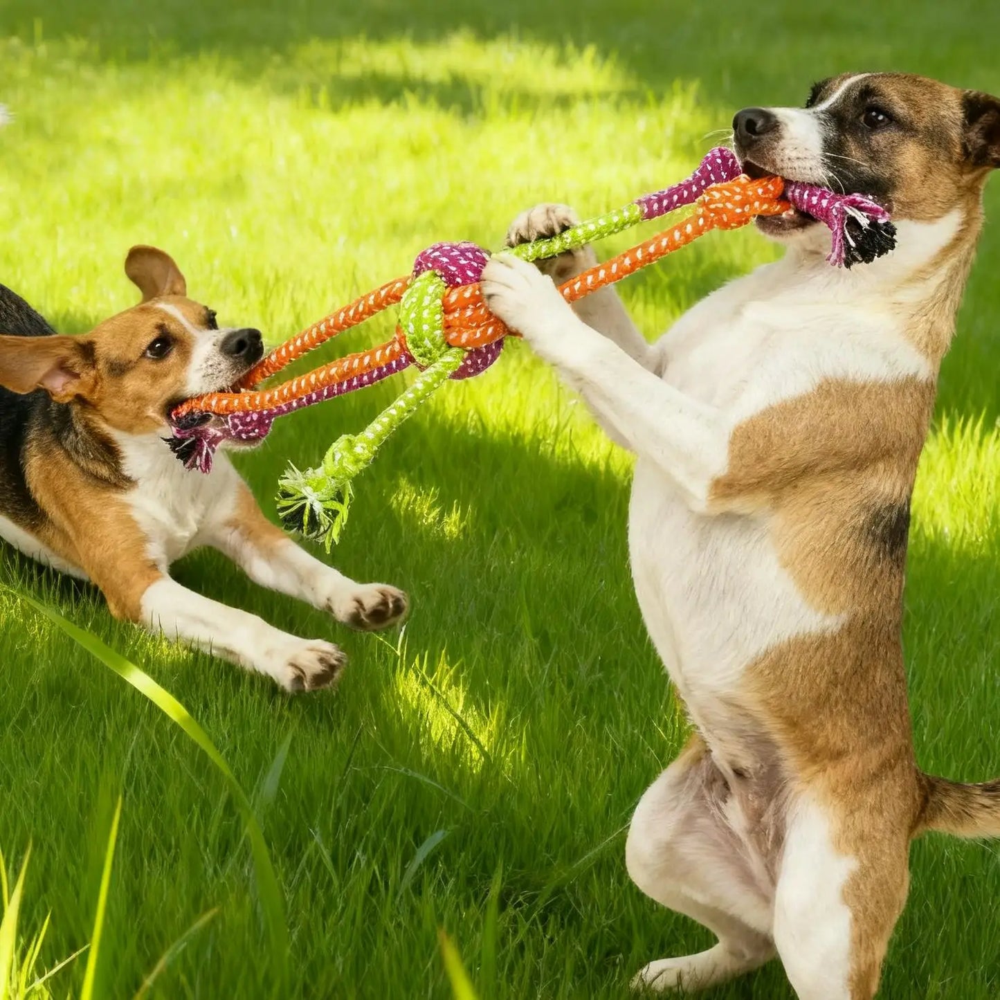 1pc Durable Bite-Resistant Interactive Knot Toy for Dogs- Chewable Rope with Green&Orange Fringes,Playful Design, Dog Toys
