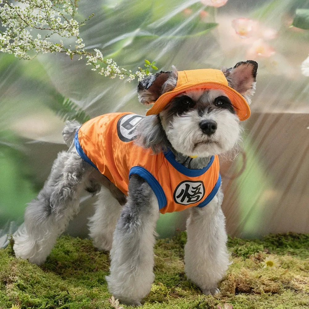 Small dog wearing an orange and blue Goku-inspired anime costume with matching headpiece