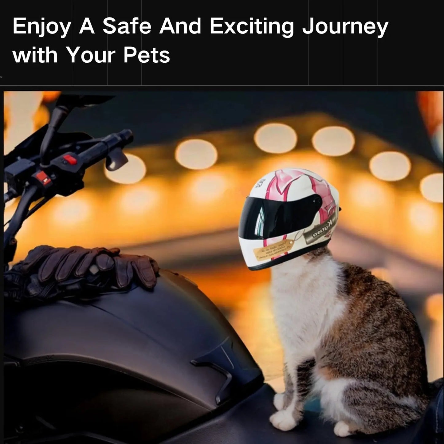 Cat Motorcycle Helmet Full Face Outdoor Riding Helmet Hat ABS Material Cat Dog Doggie Puppy Kitten Pet Supplies Racing PINK NEW