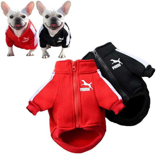 Red and black baseball-style jackets for small dogs