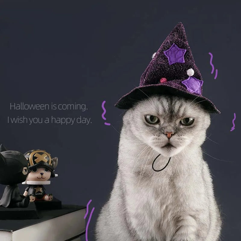 Purple Witch Cloak for Dogs & Cats – Cute Halloween Pet Costume