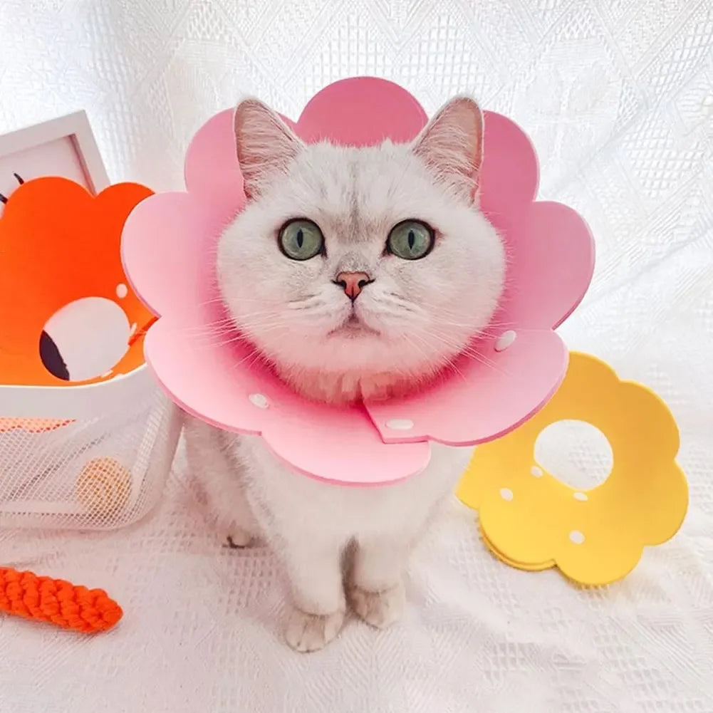 Felt Cat Collar Elizabeth Circle Cat Sun Flower Collar Felt Pet Products Anti-Licking Cat Collar Chihuahua Luxury Dog Collar