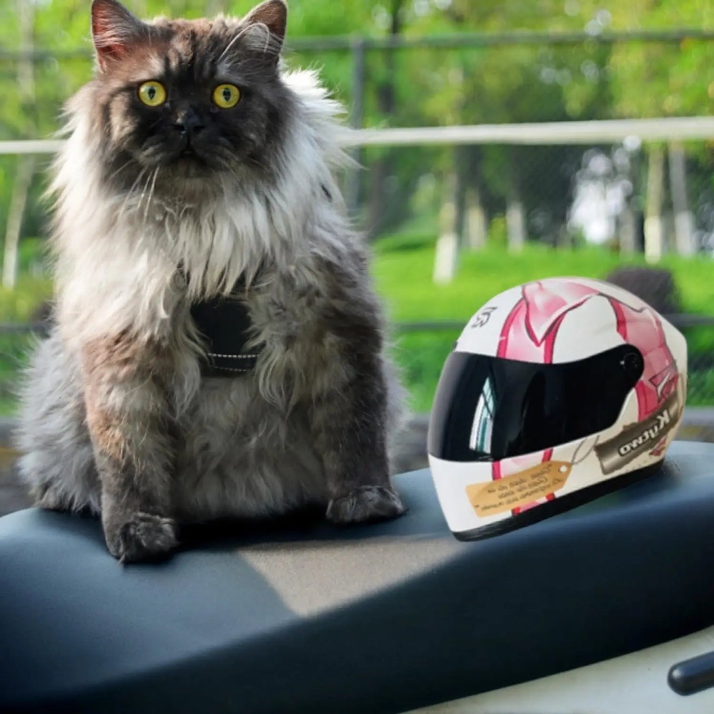 Cat Motorcycle Helmet Full Face Outdoor Riding Helmet Hat ABS Material Cat Dog Doggie Puppy Kitten Pet Supplies Racing PINK NEW