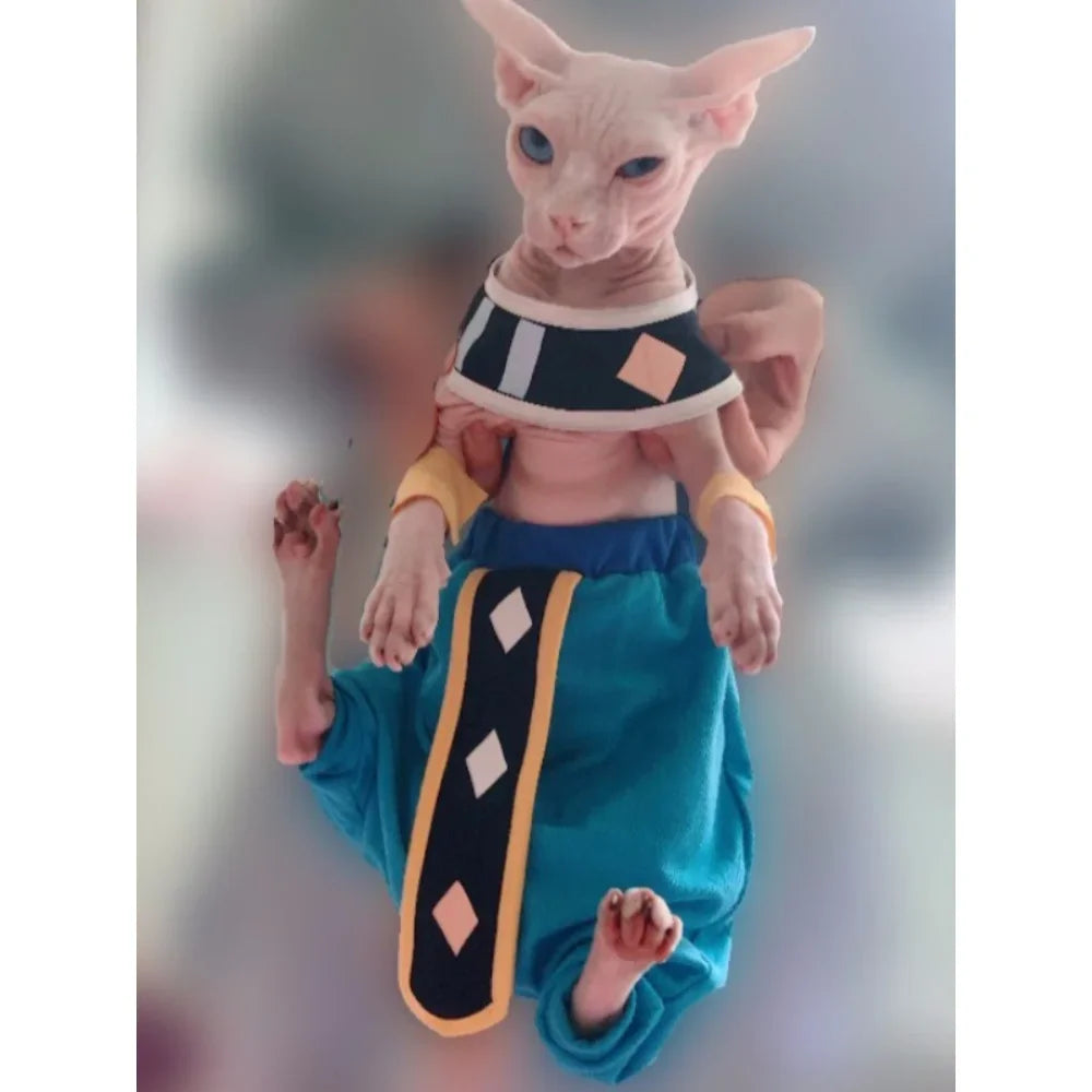 Handmade Sphinx Cosplay Costume for Hairless Cats – Egyptian Pet Outfit