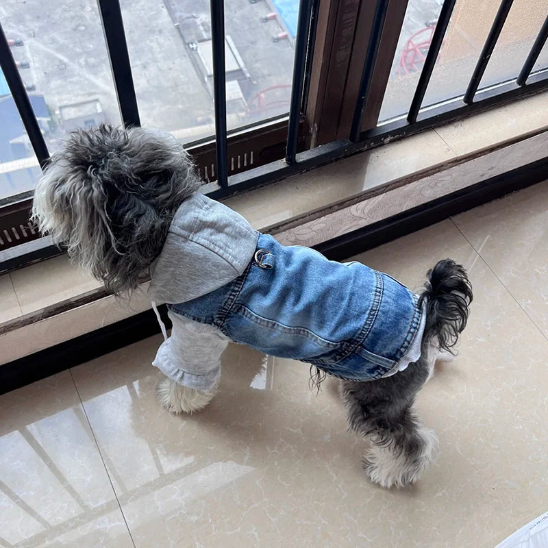 Cool Dog Jean Jacket Vest with D-Ring Hoodies for Small Medium Dogs, Spring Dog Clothes Puppy Denim Harness Coat for Walking