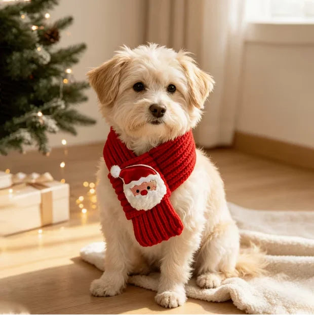Christmas Knitted Pet Scarf & Collar for Dogs and Cats – Festive Winter Accessory