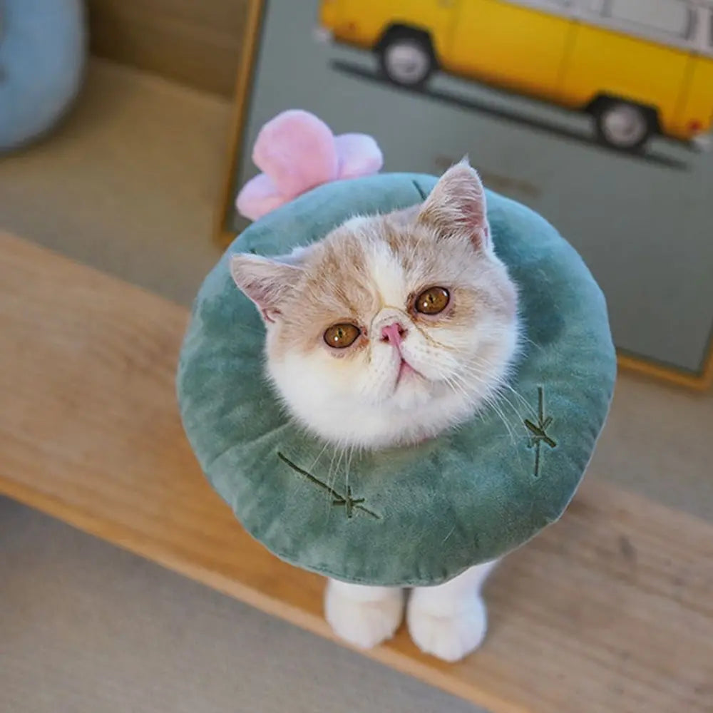 Donut Wound Healing Anti-Bite Elizabeth Circle Dog Neck Cone Cat  Collar Protection Collar Recovery  Collars Pet Supplies