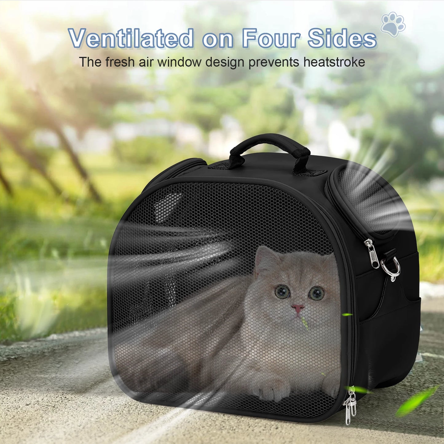 Carry on Pet Carrier Airline Approved Portable Cat Backpack Carrier - Breathable Mesh Design Lightweight for Small to Medium