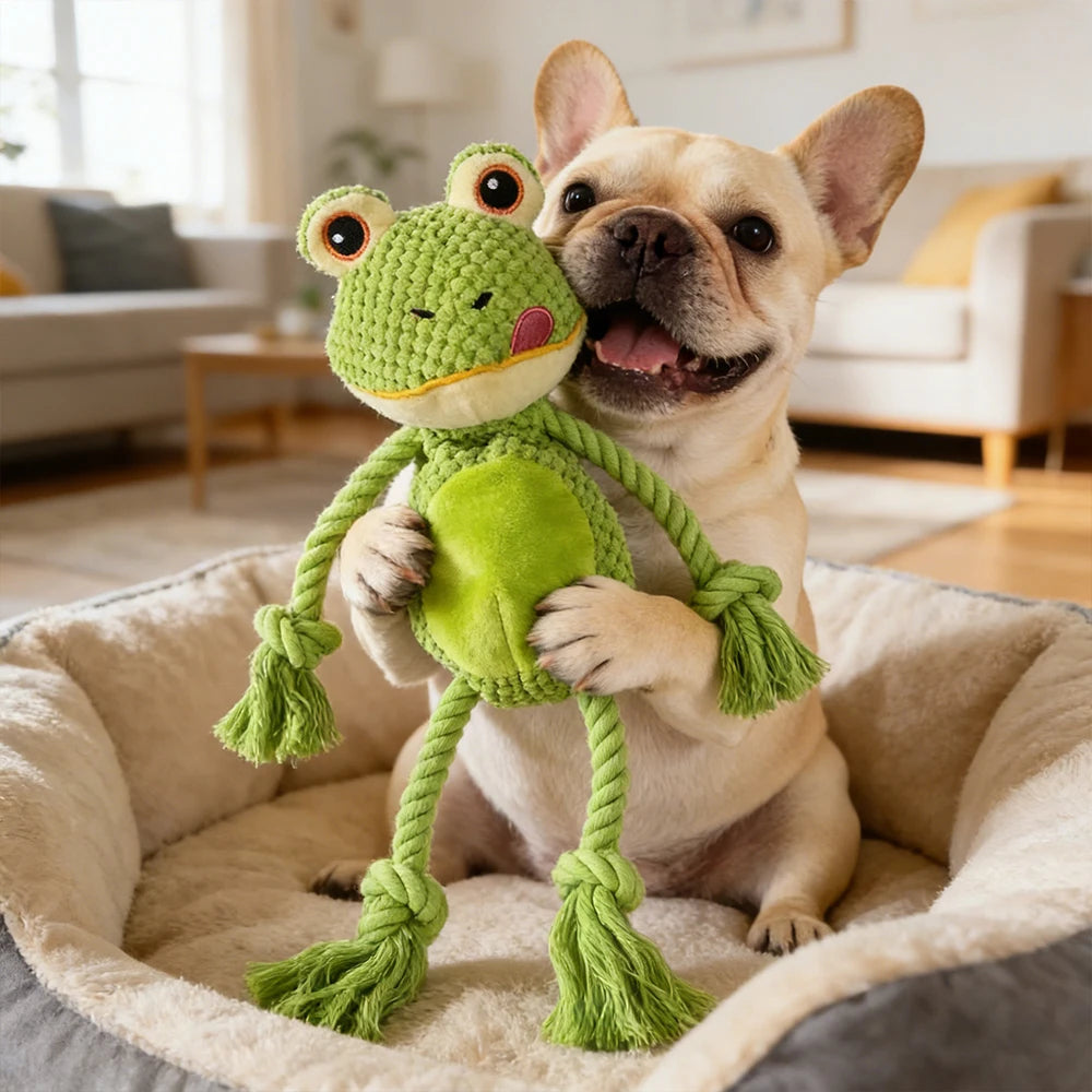 Interactive Squeaky Frog Plush Dog Toy, Upgraded Embroidered Eyes, No Hidden Hazards, Stuffing-Free Soft Bite Resistant Toy, Com