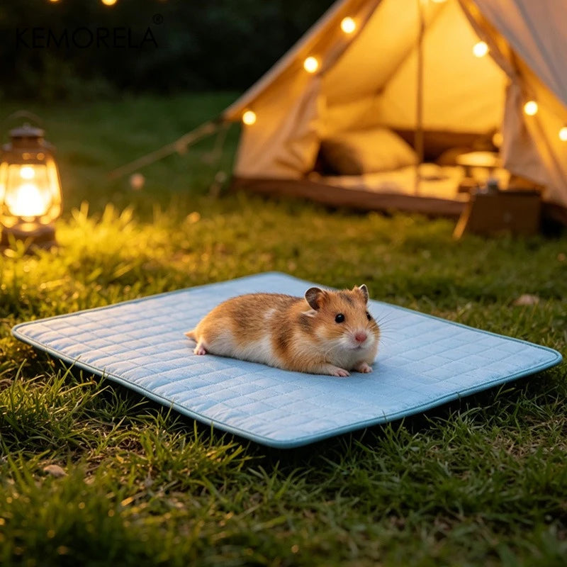 Cooling Mat for Dogs & Cats