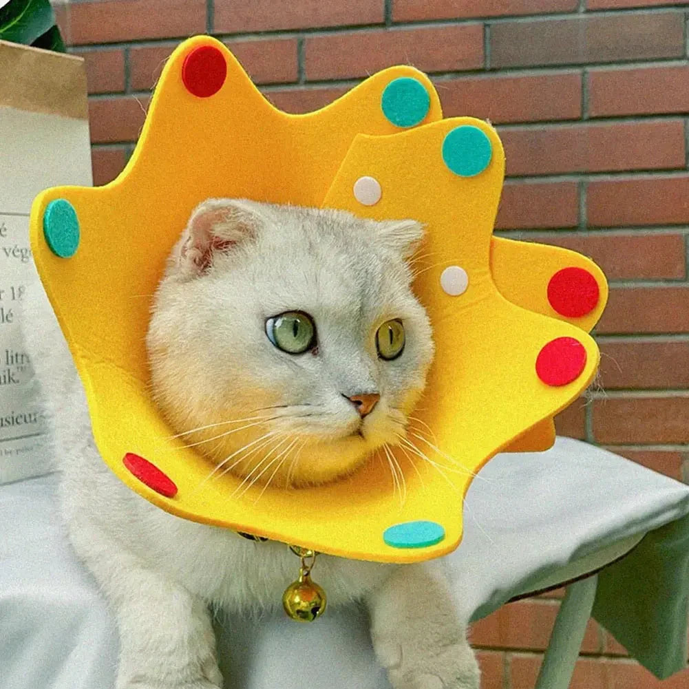 Felt Cat Collar Elizabeth Circle Cat Sun Flower Collar Felt Pet Products Anti-Licking Cat Collar Chihuahua Luxury Dog Collar