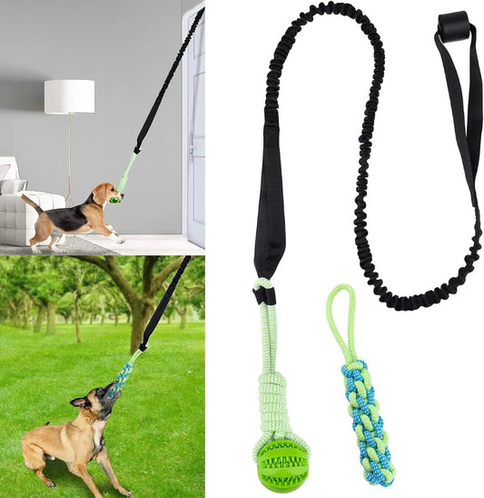 Spring Pole Dog Rope Toys, Dog Interactive Tether Tug of War Toy, Indoor/Outdoor Bungee Hanging Dogs Toy