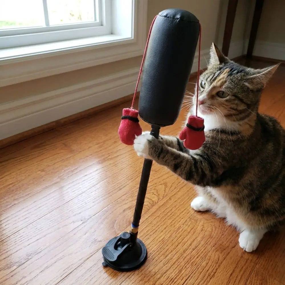Suction Cup Cat Boxing Toy Scratch Trainer Self-standing Interactive Cat Toy Scratch Resistant Bite Resistant