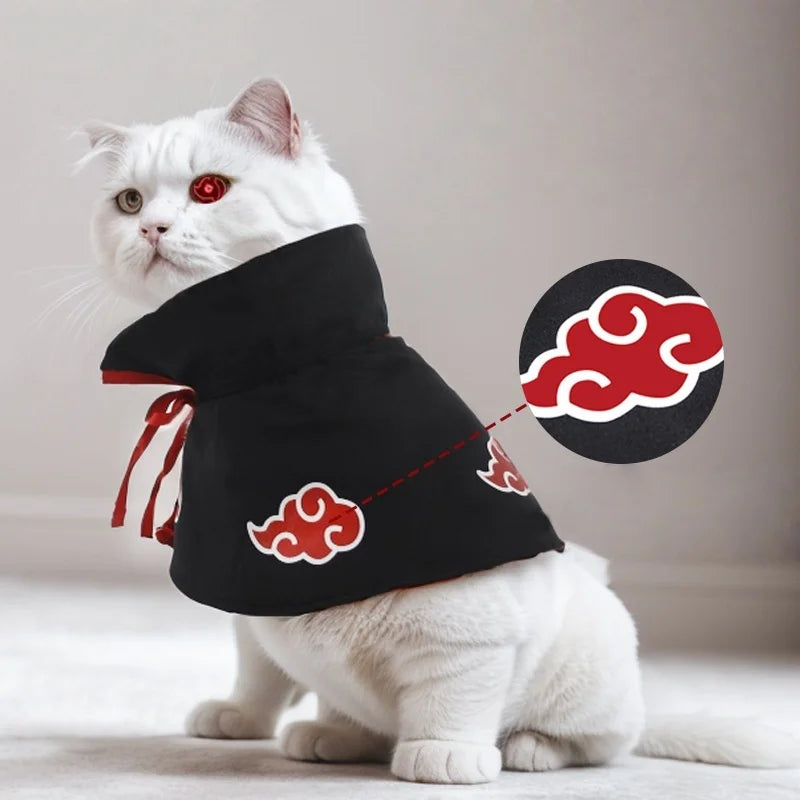 White cat wearing a black Akatsuki cloud pet cloak costume