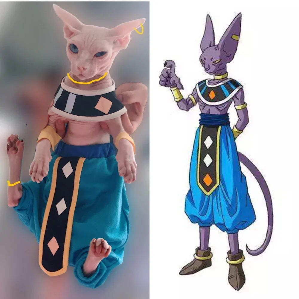 Hairless cat wearing a handmade Egyptian Sphinx cosplay costume