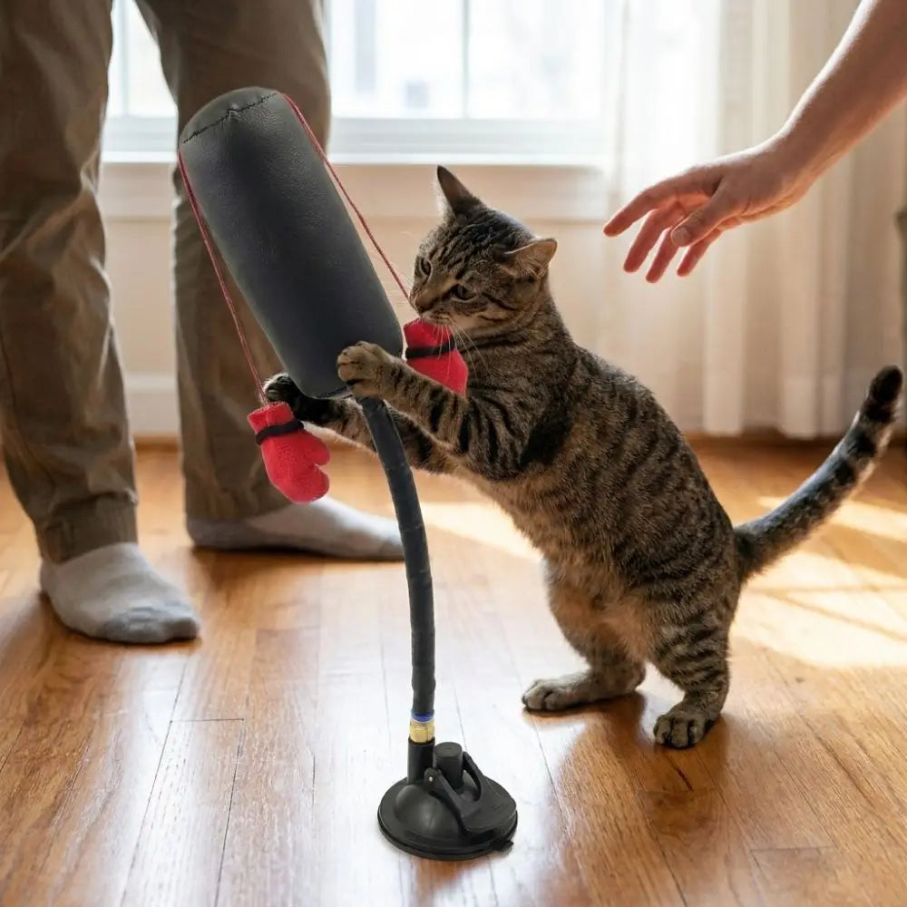 Suction Cup Cat Boxing Toy Scratch Trainer Self-standing Interactive Cat Toy Scratch Resistant Bite Resistant