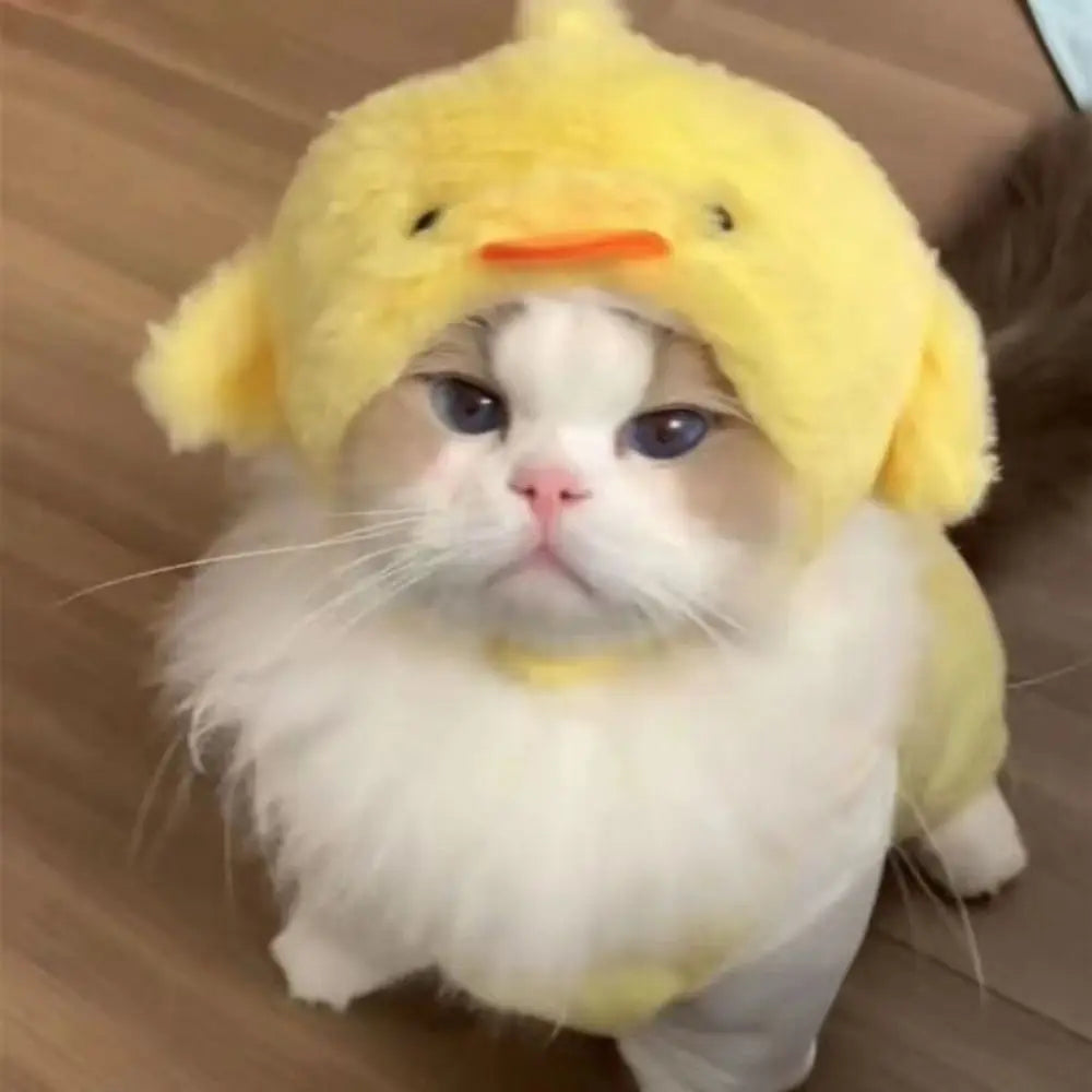 Funny Cat Cap Bear Plush Head Cover Cute Cat Dog Woven Warm Headdress Pet Hat Kitten Puppy Cosplay Costume Accessories
