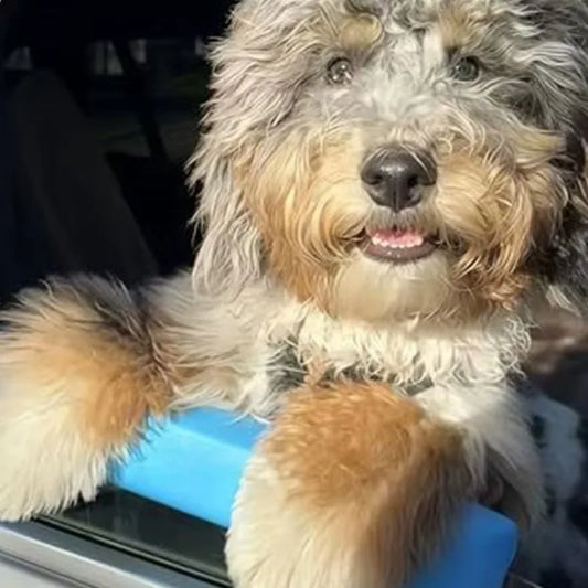 Dog Car Window Chin Support Pad