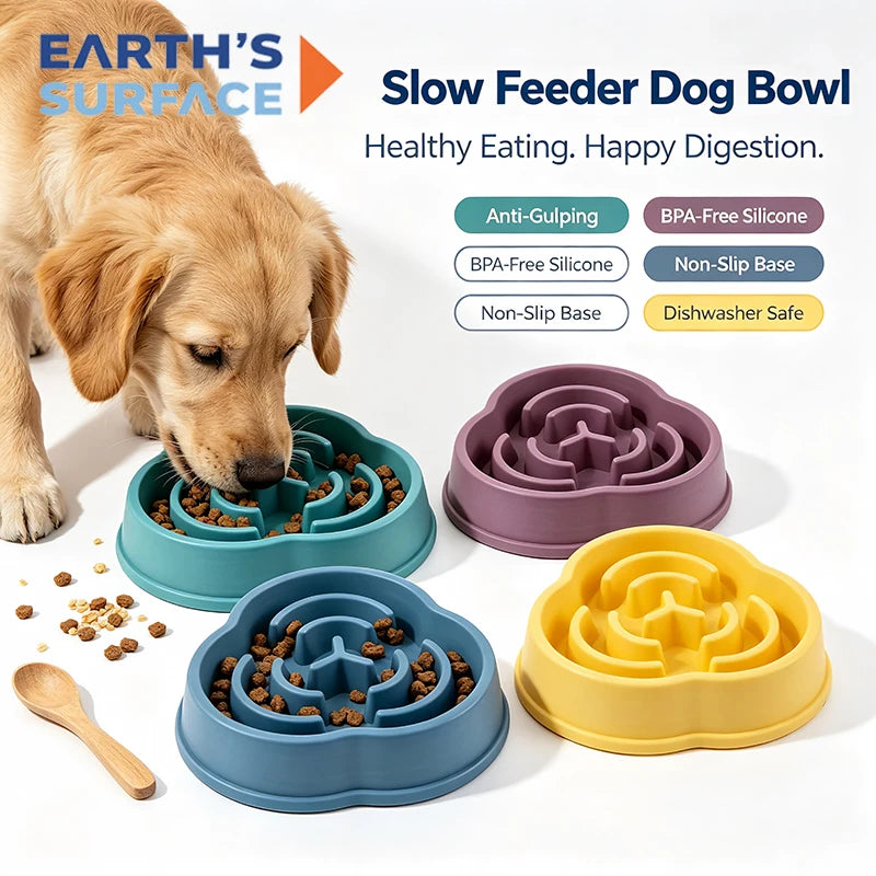 Slow feeder anti-choking dog bowl with raised puzzle design