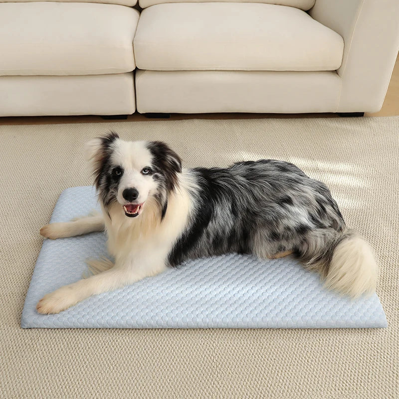 Summer Cooling Mat for Dogs
