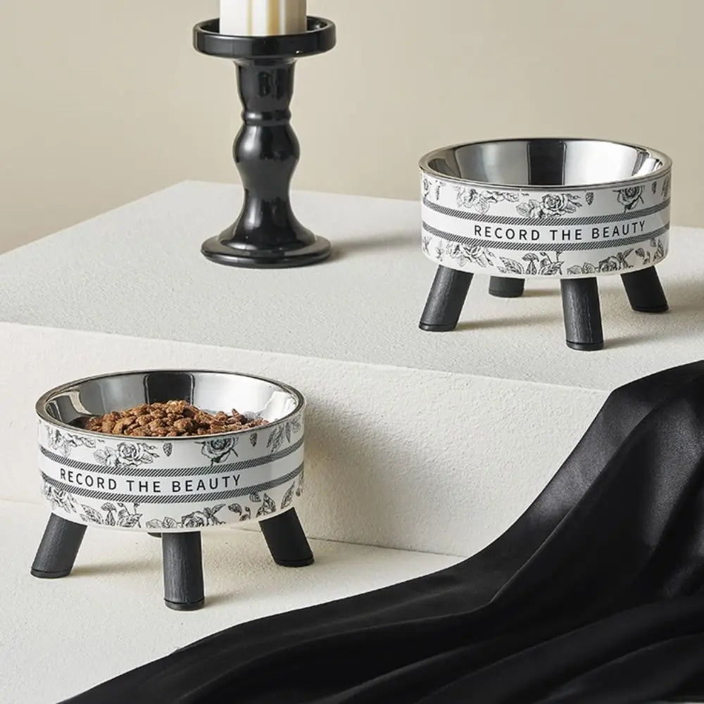 Elevated Stainless Steel Cat Bowl with Non-Slip Stand