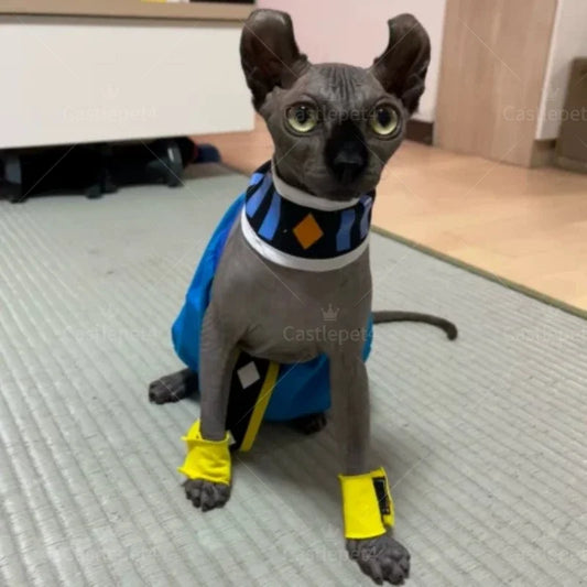 Handmade Sphinx Cosplay Costume for Hairless Cats – Egyptian Pet Outfit
