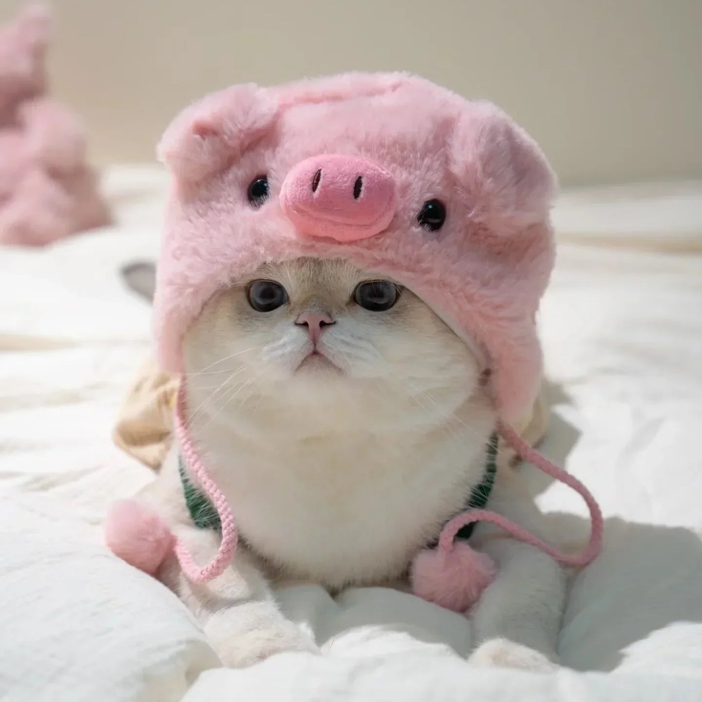 Funny Cat Cap Bear Plush Head Cover Cute Cat Dog Woven Warm Headdress Pet Hat Kitten Puppy Cosplay Costume Accessories