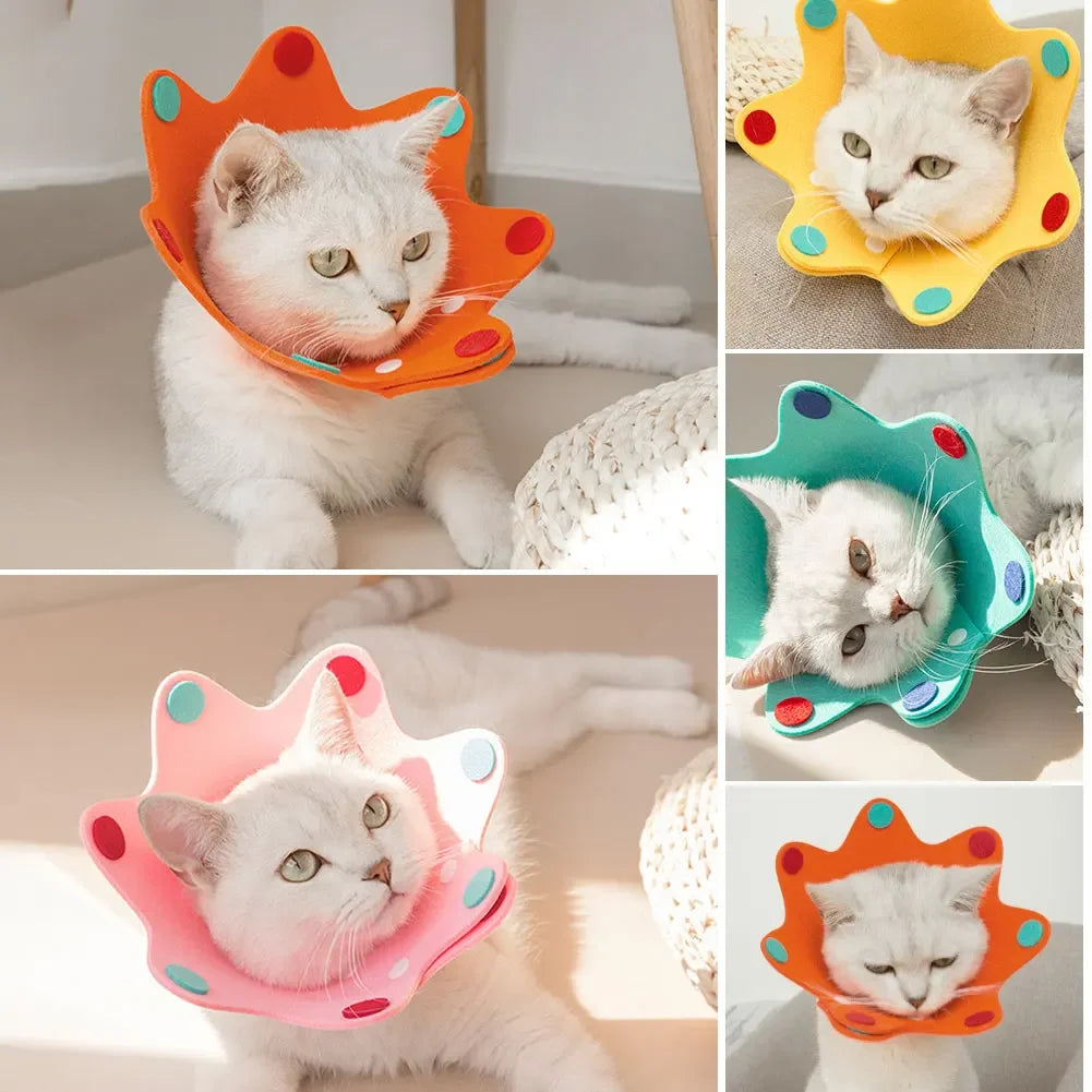 Felt Cat Collar Elizabeth Circle Cat Sun Flower Collar Felt Pet Products Anti-Licking Cat Collar Chihuahua Luxury Dog Collar