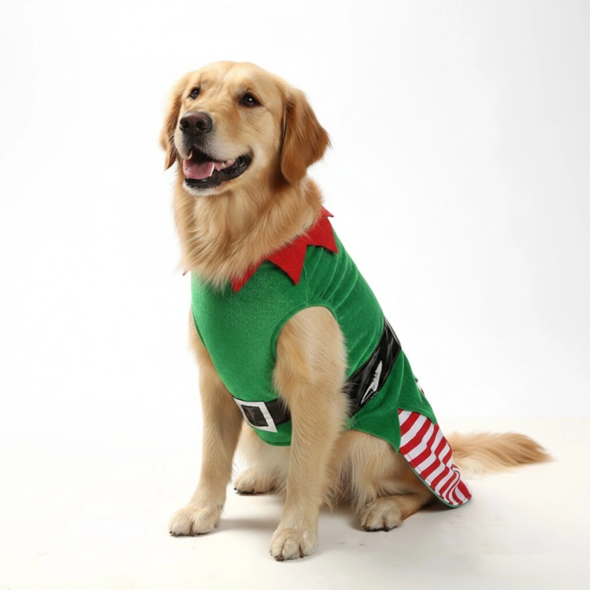 Dog wearing a cute Christmas elf holiday costume