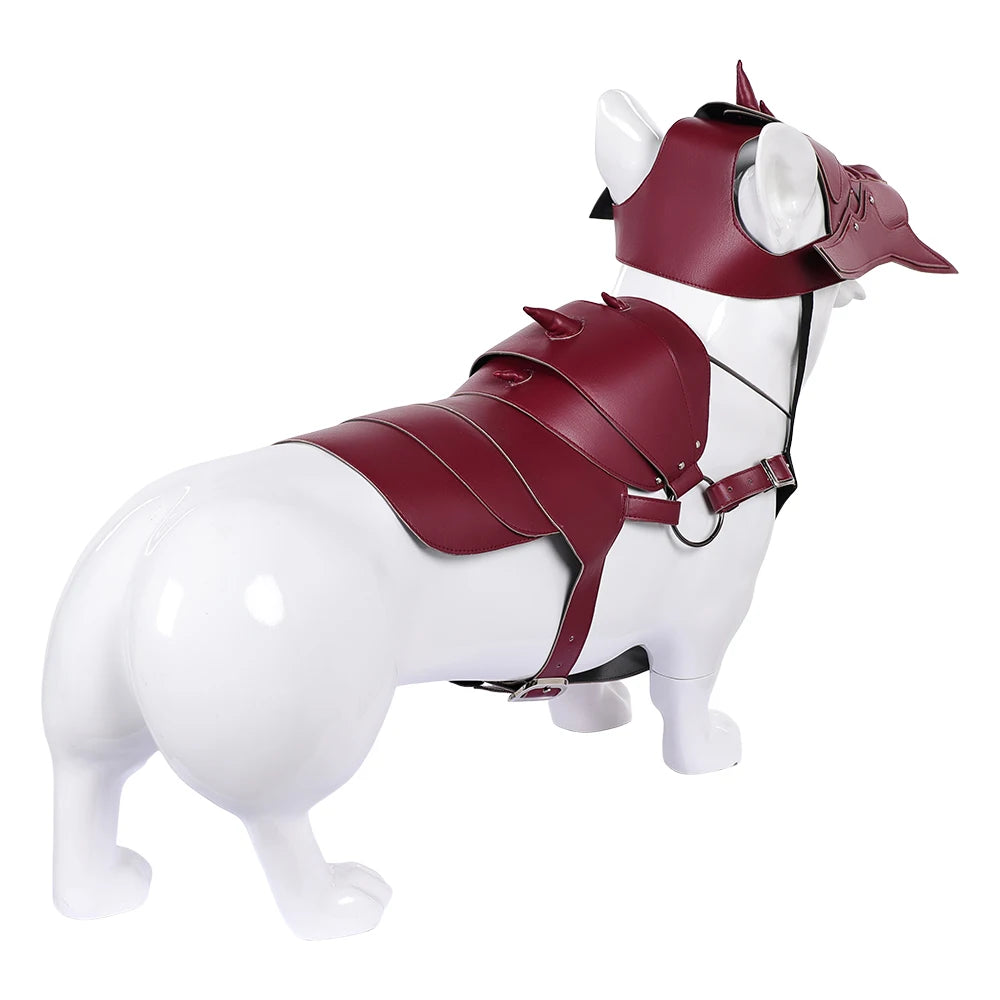 Dog & Cat Battle Cosplay Costume – Funny Pet Warrior Vest & Mask Outfit