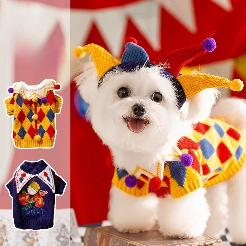 Dog wearing a colorful clown sweater Halloween costume