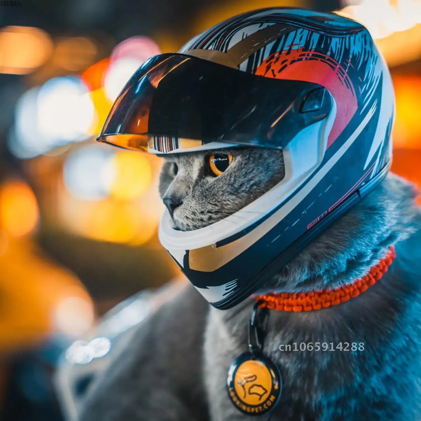 Photo Pet Helmets,Cat Helmet,Dog Helmet-Outdoor Mini Head Motorcycle DIY Helmet Accessorie,Mini Props Hat,Pet Protecting Safe