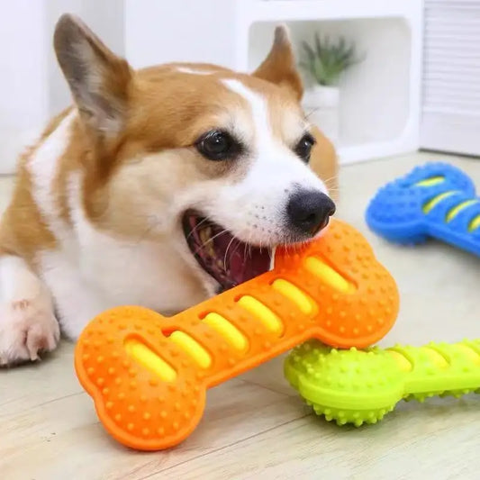 Dog Chew Bone Toy – Textured Rubber Interactive Chew & Play Toy