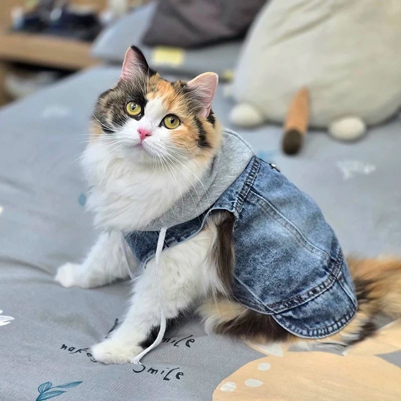 Cool Dog Jean Jacket Vest with D-Ring Hoodies for Small Medium Dogs, Spring Dog Clothes Puppy Denim Harness Coat for Walking