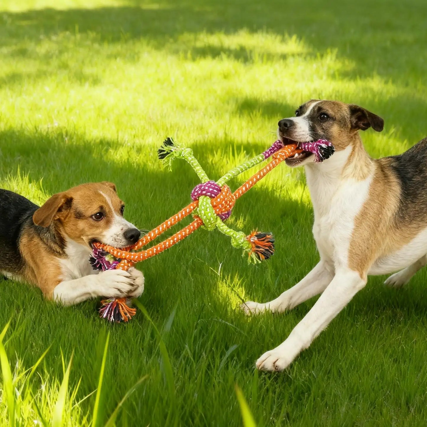 1pc Durable Bite-Resistant Interactive Knot Toy for Dogs- Chewable Rope with Green&Orange Fringes,Playful Design, Dog Toys