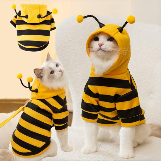 Cats wearing yellow and black bumble bee Halloween costumes